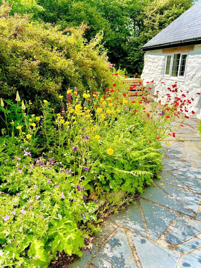 Beautiful Ancient Stone Cottage, Local Walks & Pub! Conwy Exterior foto